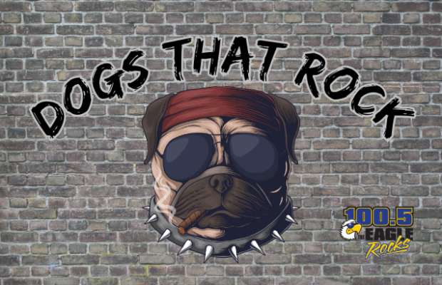 DOGS THAT ROCK!!!