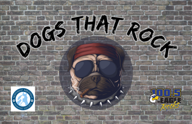 DOGS THAT ROCK!!!