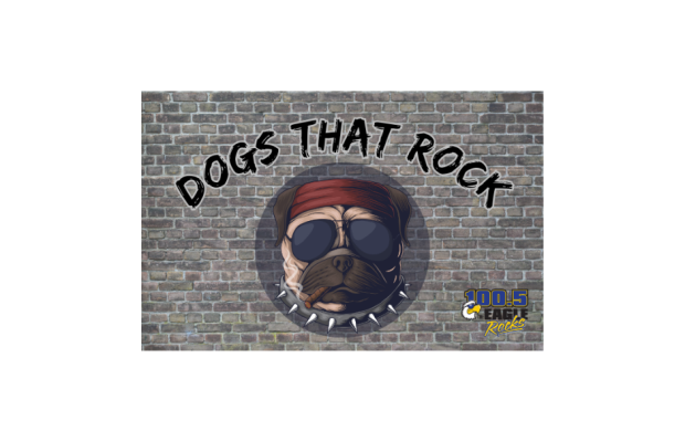 DOGS THAT ROCK!!!